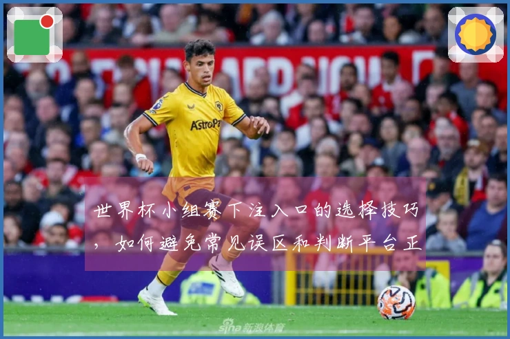 世界杯小组赛下注入口的选择技巧，如何避免常见误区和判断平台正规性