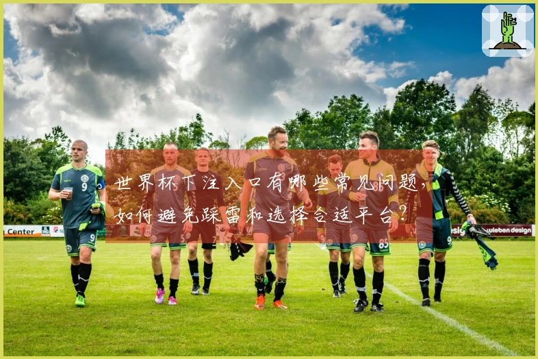 世界杯下注入口有哪些常见问题，如何避免踩雷和选择合适平台？